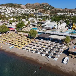 Complex Petunya, Ortakent