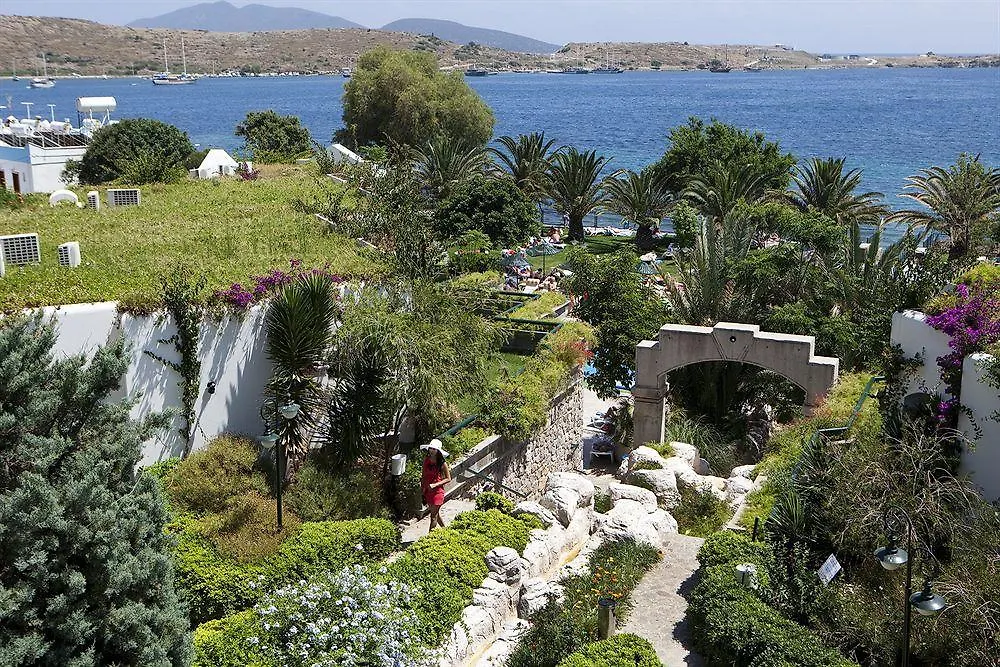 Royal Asarlik Beach Hotel Gümbet